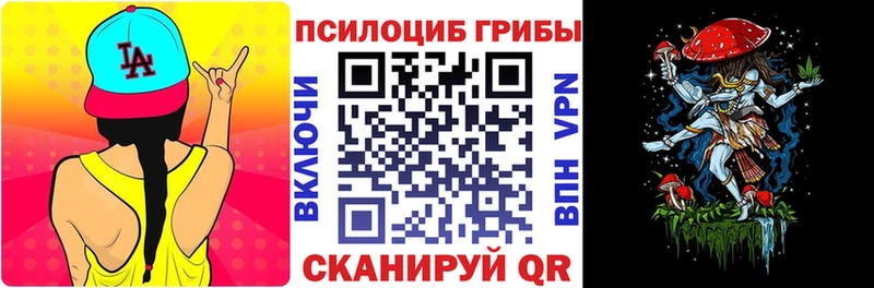 где продают Ивантеевка Псилоцибиновые грибы Magic Shrooms