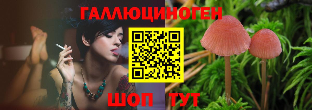 Псилоцибиновые грибы Psilocybe  Галлюциногенные грибы GOLDEN TEACHER  Вход с VPN  Ивантеевка 